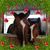 Viviana Carle's profile image