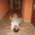 Kevin Kulesz's profile image