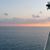 Norma Jeanette Littlefield-Sheldon's profile image