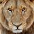 Troy Stose's profile image