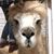 Dolores Michelle Valencia Lopez's profile image