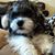 Michael David McGill's profile image