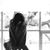 Tina Cole Rutledge's profile image