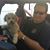 Steve Zickefoose's profile image