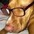 Maggie May's profile image