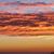 Dawn Bates's profile image