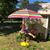 Kimberly Jo Graham's profile image
