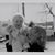 Kit Ruseau's profile image