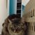 Julie Nagel's profile image