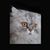 Laura Ruddy's profile image