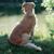 Julie Miller's profile image