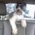 Gail Carroll's profile image