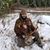 Chris Buckley's profile image