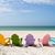 Pamela Kasper-Hathaway's profile image