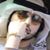 باسم السامرائي's profile image