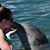 Sarah Brumwell's profile image