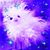 Lori Albright's profile image