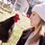 April Hay's profile image