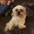 Heather Sebert's profile image