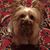 Cleo Castelda's profile image