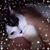 Karen Martin's profile image
