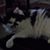 Barbara Ann's profile image