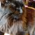 Crystal Rehbein's profile image