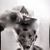 Charlotte Boyer's profile image