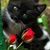 Betty Hardy's profile image