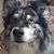 Cindy Eckols's profile image