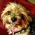 Helen Brunson's profile image