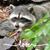 Pam Stanley's profile image