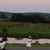 Christine Scarinzi-Green's profile image