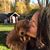 Ann-Louise Westberg's profile image