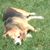 Debbie Paul Lovell's profile image