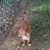 Dianne Blackmon's profile image