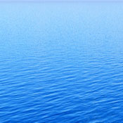 Tranquility t.'s profile image
