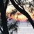 Linda Schubel's profile image