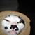 Terri Bowman's profile image
