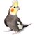 Chuck Redman's profile image