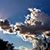 Merel Bregante's profile image
