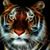 Joyce Curtis's profile image