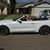 Karen Trautlein's profile image