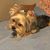 Erin Gault's profile image