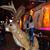 Melissa Wronko's profile image