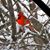 Carol Barwick's profile image