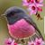 Amy Elsner's profile image