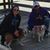 Heather Krein's profile image
