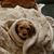 Amanda Nelson's profile image
