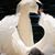 Raquelle Godbey's profile image